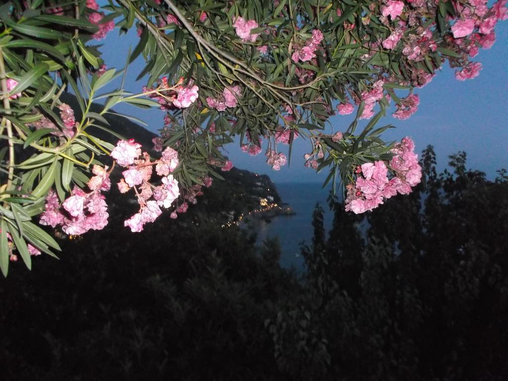Casa Vacanze Nonno Aldo Minori Buitenkant foto
